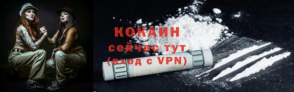 винт Абаза